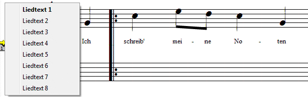 Liedtext Lyrics eingeben im Musikprogramm Encore